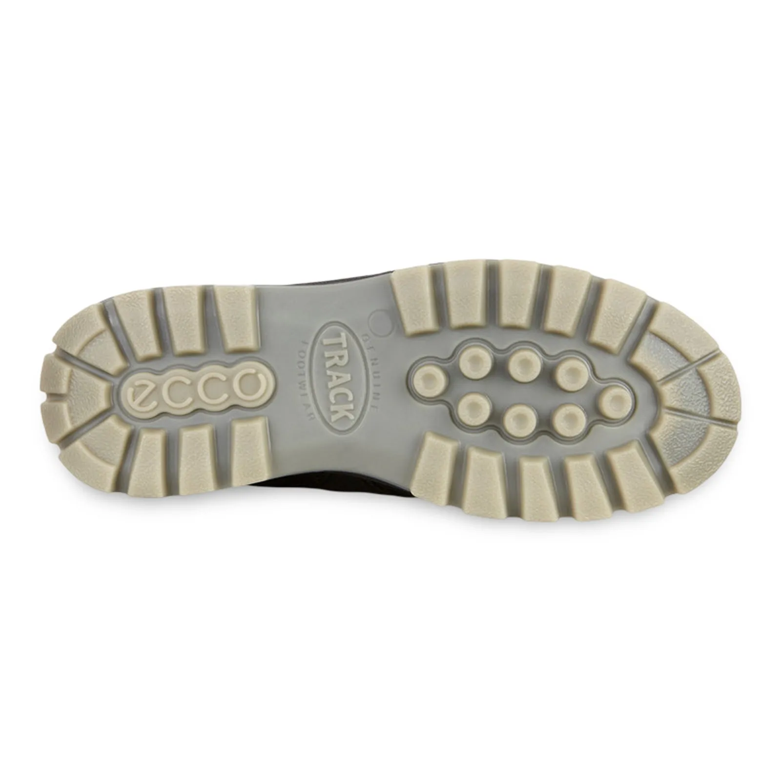 Ecco Track 25 Low GTX wasserdichte Herrenschuhe aus Vollnarbenleder Ecco Schuhe