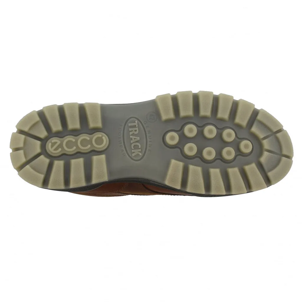 Ecco Track 25 Low GTX wasserdichte Herrenschuhe aus Vollnarbenleder Ecco Schuhe